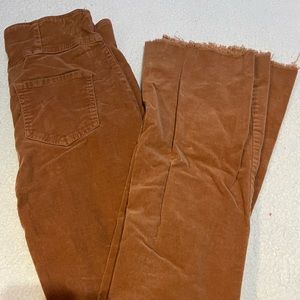 brown pants